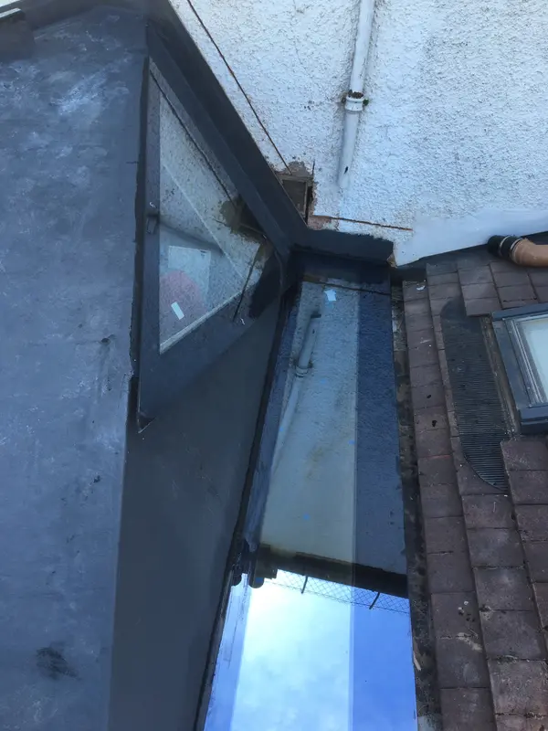 Skylights Barnes